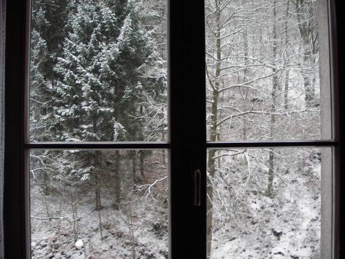 Apartamento Appartement Jachymov