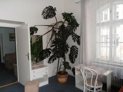 Hostal Penzion U ?esk� Koruny