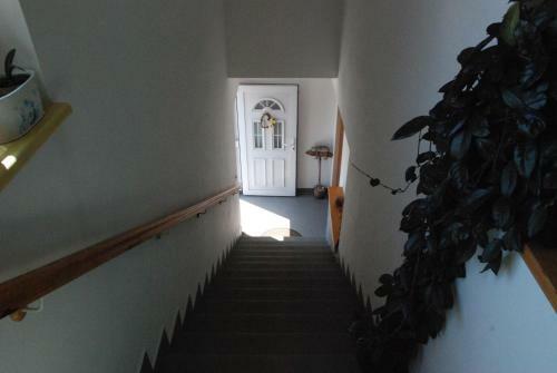 Hostal Penzion 28