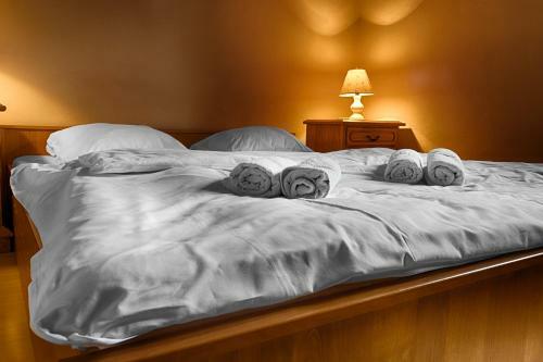 Hotel Gaudeamus