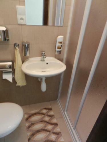 Hotel Ber�nek