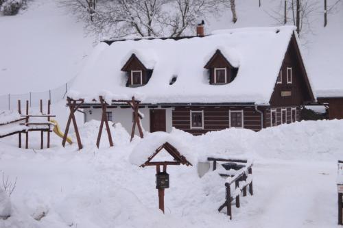 Roubenka Veverka