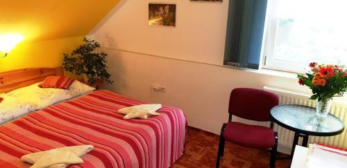 Hostal Penzion U S�kor?