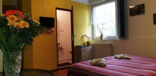 Hostal Penzion U S�kor?