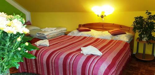 Hostal Penzion U S�kor?