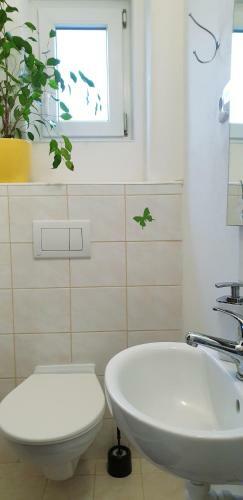 Hostal Penzion U S�kor?