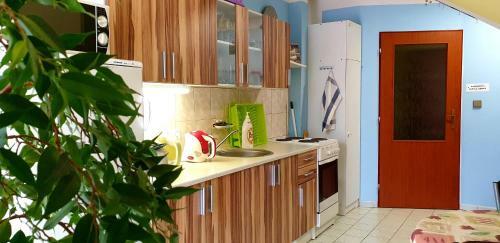 Hostal Penzion U S�kor?