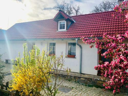 Apartm�ny J�lovice