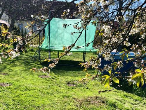 Apartm�ny J�lovice