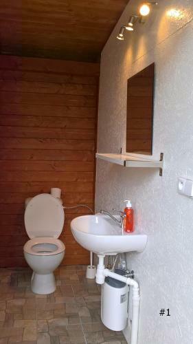 Lodge Chaty U Rybn�ka Brodsk�