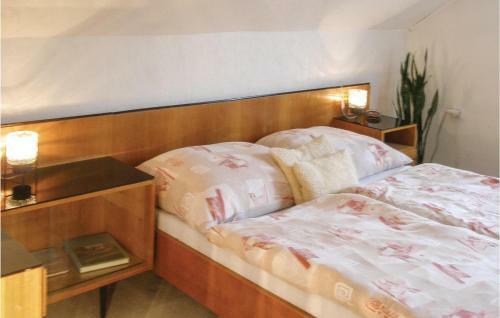 Apartment Horni Kostelec