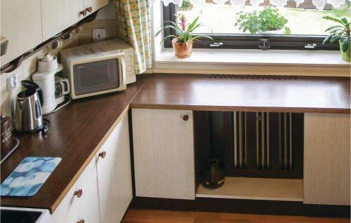 Apartment Horni Kostelec