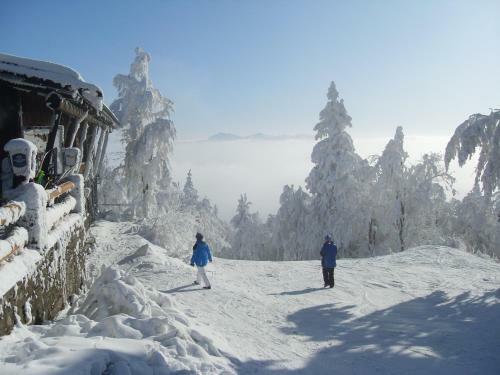 Hostal Pension V?eruby