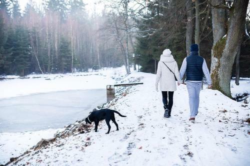 Amenity Resort ?esk� Kanada