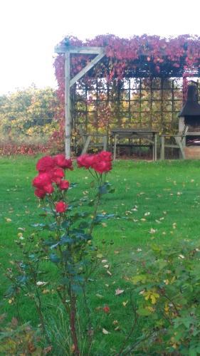 Hostal Pension U V�clava
