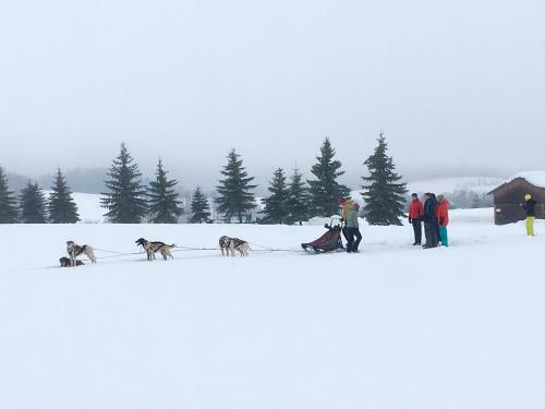 Hotel Grund Resort Golf And Ski