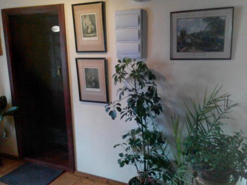 Hostal Penzion Nostalgie 1876