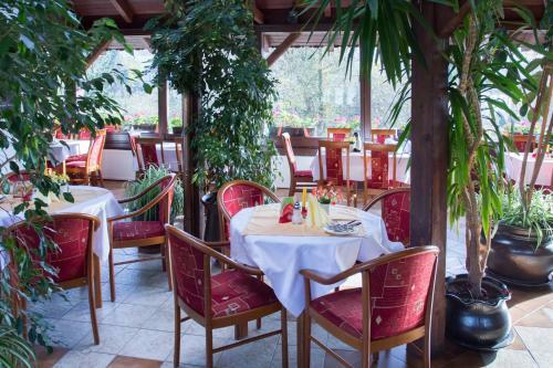 Hostal Pension Inge