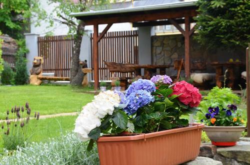 Apartm�ny Ag�ta Abertamy
