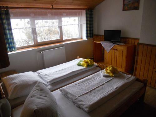 Hostal Penzion Kamzik