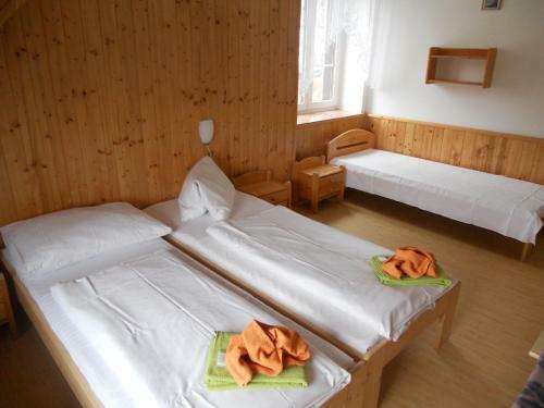 Hostal Penzion Kamzik
