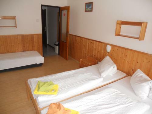 Hostal Penzion Kamzik