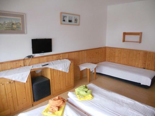 Hostal Penzion Kamzik