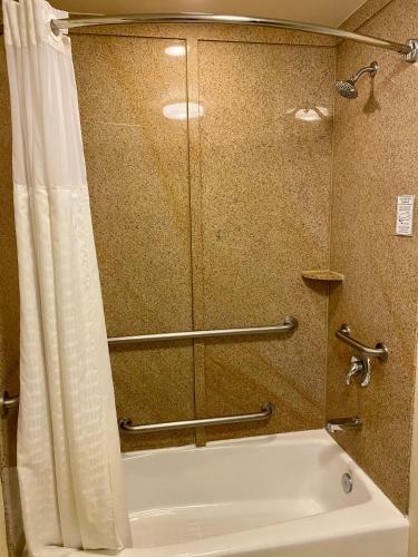 Hotel Comfort Suites Rock Hill