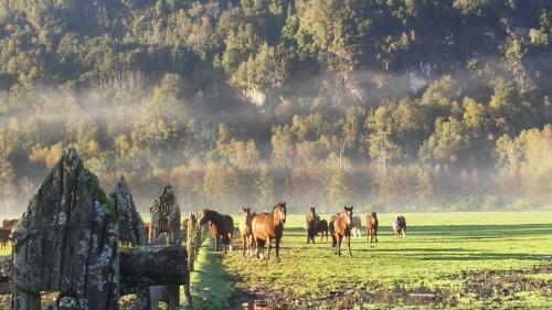 Agroturismo Mavidahue