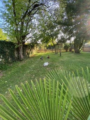 Holiday Home La Brijopa