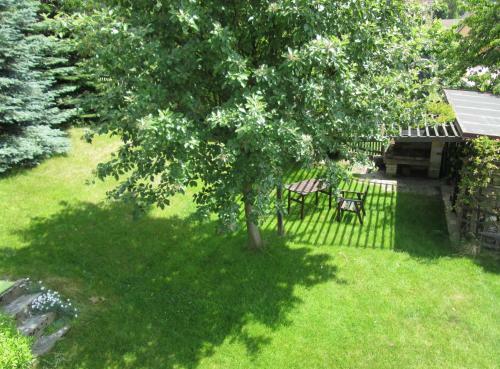 Apartm�n Tis� 68