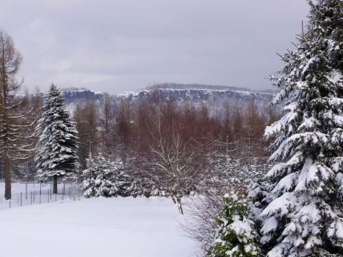 Hostal Ubytov�n� Doma