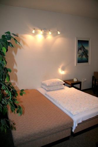 Bed & Breakfast Penzion Orchidea