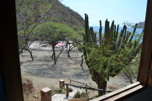 Lodge Playaca Suites Beach Club