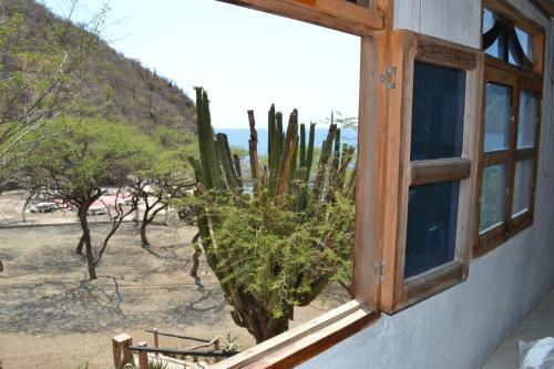 Lodge Playaca Suites Beach Club
