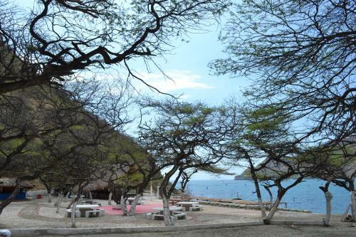 Lodge Playaca Suites Beach Club
