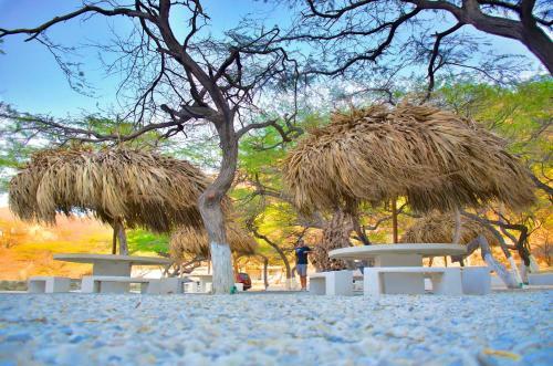 Lodge Playaca Suites Beach Club