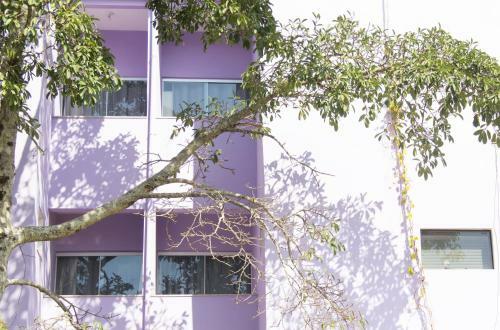 Hostal Pousada Antares