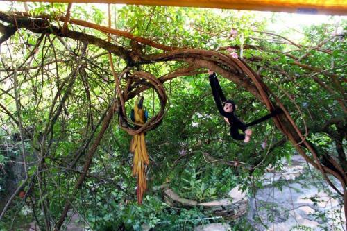 Hostal Pousada Al�m Da Lenda