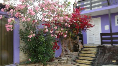Hostal Pousada Al�m Da Lenda
