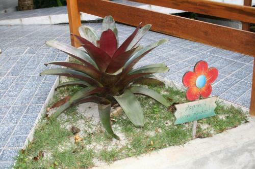 Hostal P�rola Da Mata