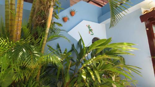 Bed & Breakfast Pousada Raios De Luar