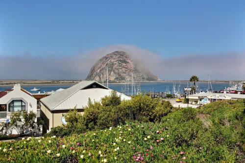 Motel Bay View Inn - Morro Bay