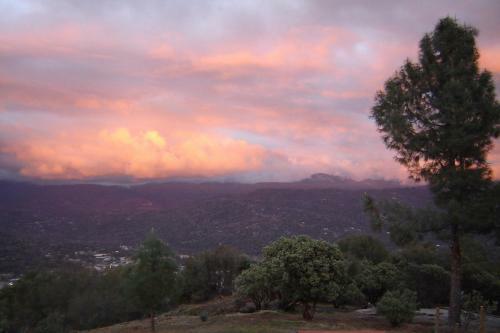 Yosemite Sierra View Bed & Breakfast