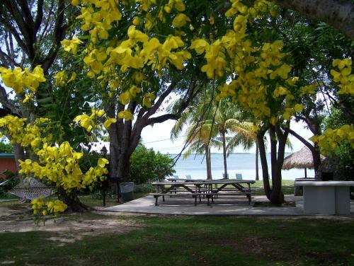 Posada Rock Reef Resort
