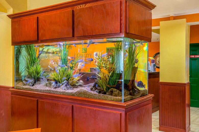 Hotel Quality Inn & Suites Beachfront