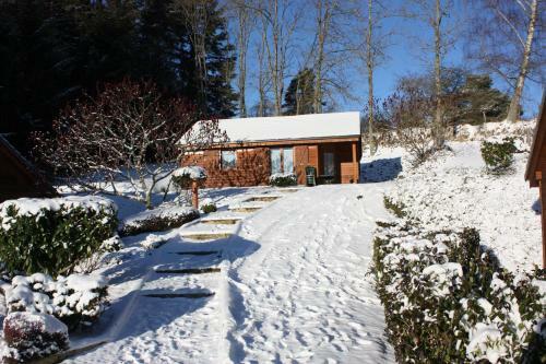 Volcans Vacances Les Chalets Du Lac