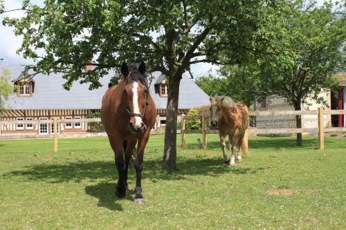Bed & Breakfast Le Clos Marie
