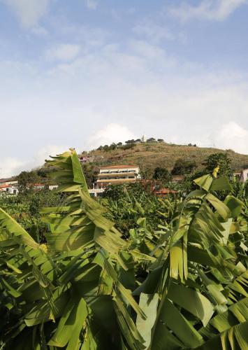 Hotel Vila Marta