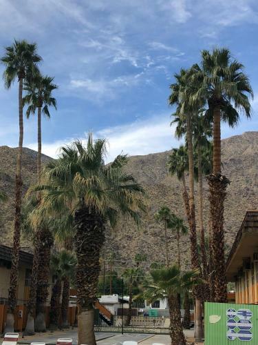 Motel Desert Lodge